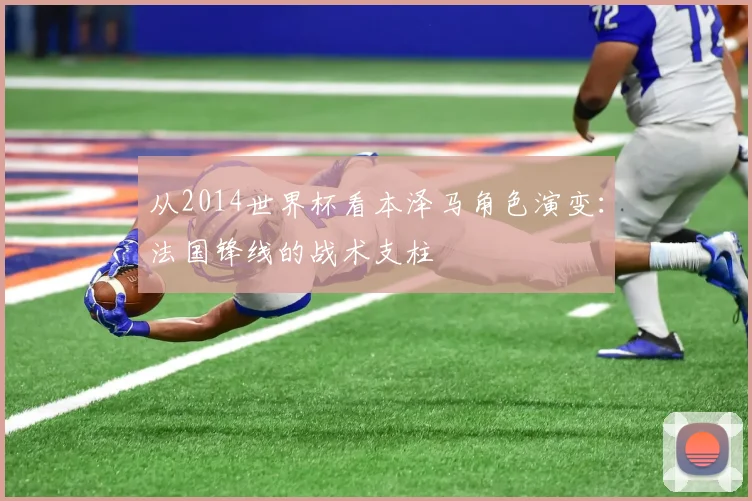 从2014世界杯看本泽马角色演变：法国锋线的战术支柱